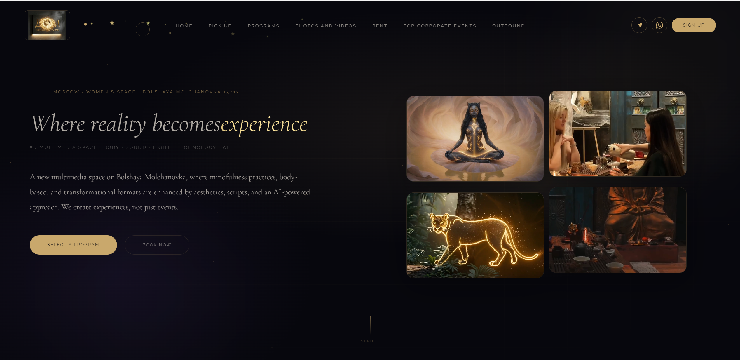 DOM web experience